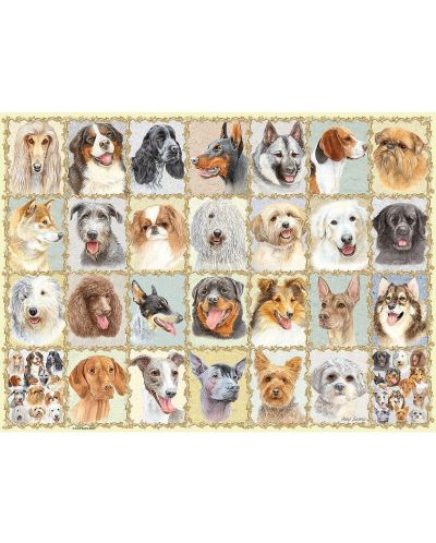 Παζλ Ravensburger 500 κομμάτια - Φωτογραφίες σκύλων - 2