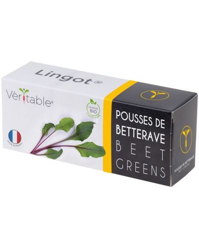 Σπόρια   Veritable - Lingot,Φύλλα παντζαριού, μη ΓΤΟ - 1