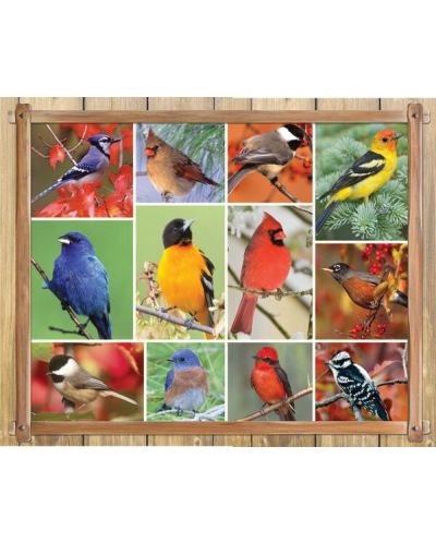 Παζλ Springbok 1000 κομμάτια - Γλυκά πουλιά - 1