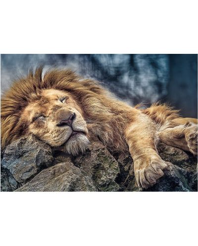 Παζλ Trefl 1000 κομμάτια - Λιοντάρι που κοιμάται   - 2