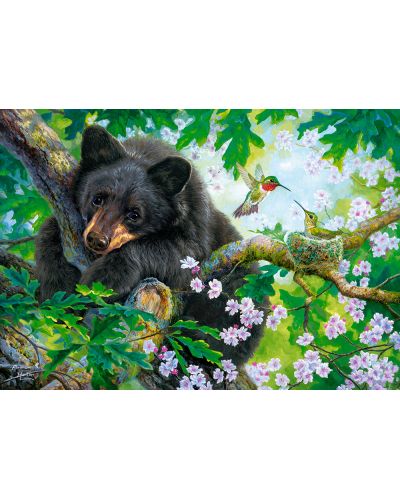 Παζλ Castorland 500 κομμάτια -Bear in a tree - 2