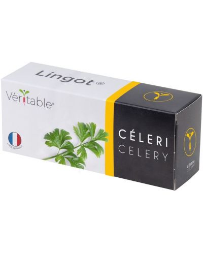 Σπόρια   Veritable - Lingot,Φύλλα σέλινου, μη ΓΤΟ - 1
