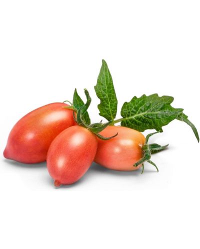 Σπόρια  Veritable - Lingot, Ροζ μίνι ντομάτες, μη ΓΤΟ - 2