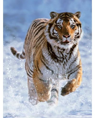 Παζλ Ravensburger 500 κομμάτια -Τίγρη στο χιόνι - 2