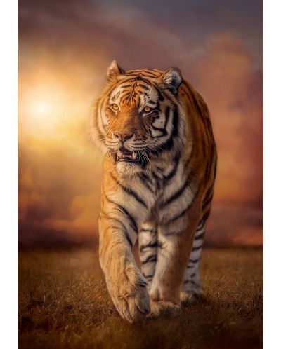 Παζλ Clementoni 1500 κομμάτια - Τίγρης  - 2