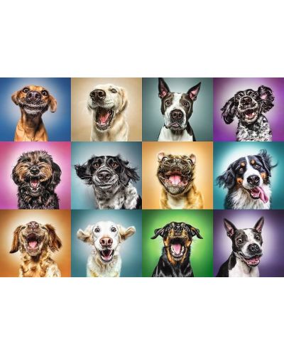 Παζλ Trefl 1000 κομμάτια - Διασκεδαστικά πορτρέτα σκύλων  - 2