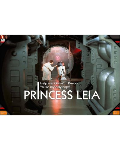 Αφίσα με κορνίζα SD Toys Movies: Star Wars - Leia Help Me - 1