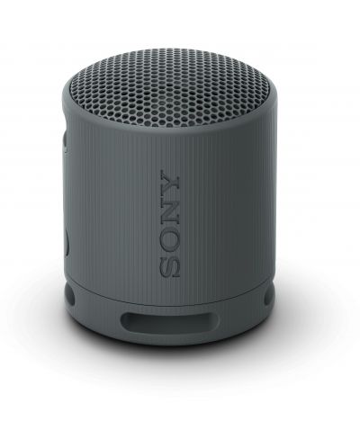 Φορητό ηχείο Sony - SRS-XB100, μαύρο - 1
