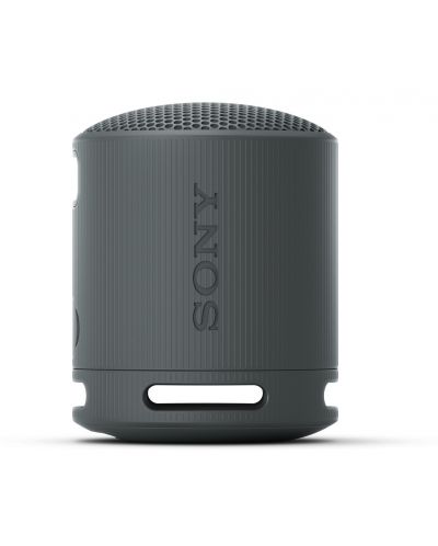 Φορητό ηχείο Sony - SRS-XB100, μαύρο - 10