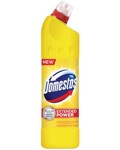 Καθαριστικό  Domestos - Citrus, 750 ml - 1