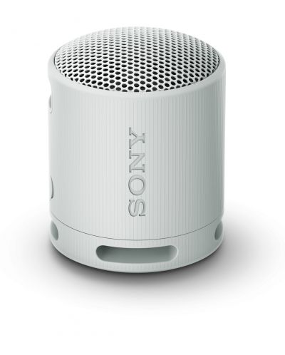 Φορητό ηχείο Sony - SRS-XB100, γκρι - 1