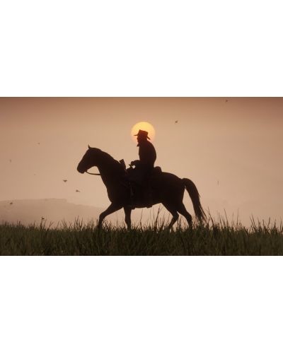Red Dead Redemption 2 (PS4) - 9