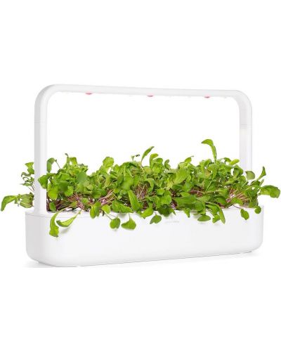 Σπόροι Click and Grow - Φύλλο ραπανάκι, 3 ανταλλακτικά - 7