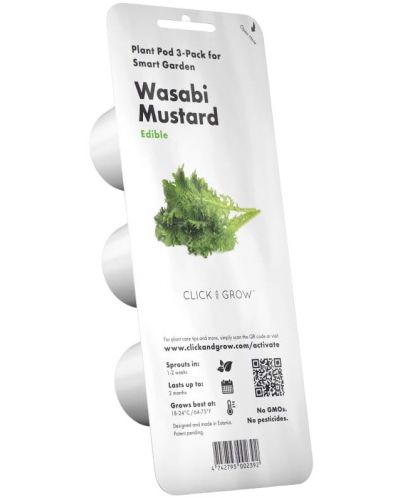 Σπόροι Click and Grow - μουστάρδα Wasabi, 3 ανταλλακτικά - 1