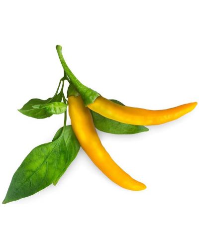 Σπόροι Click and Grow - Κίτρινη πιπεριά τσίλι, 3 ανταλλακτικά - 2