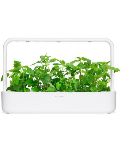 Σπόροι Click and Grow - Catnip, 3 ανταλλακτικά - 4