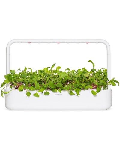 Σπόροι Click and Grow - Φύλλο ραπανάκι, 3 ανταλλακτικά - 6