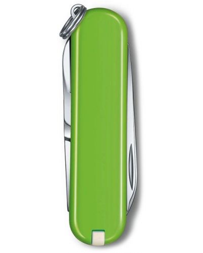 Ελβετικός σουγιάς  Victorinox - Classic SD, Smash Avocado - 3