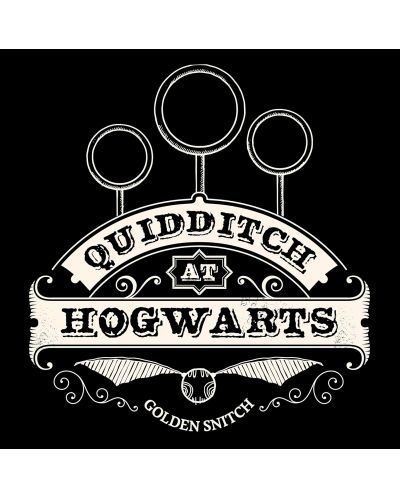Αθλητική τσάντα  ABYstyle Movies: Harry Potter - Quidditch - 7