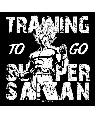 Αθλητική τσάντα  ABYstyle Animation: Dragon Ball Z - Training to go Super Saiyan - 6