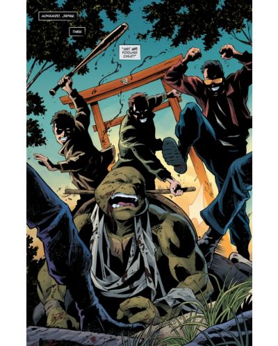 Teenage Mutant Ninja Turtles: The Last Ronin - Lost Years - 4