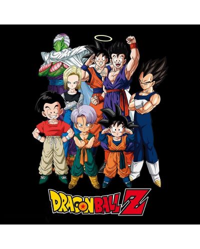 Κοντομάνικη μπλούζα  ABYstyle Animation: Dragon Ball Z - Group - 2
