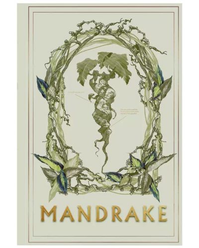 Σημειωματάριο Moriarty Art Project Movies: Harry Potter - Mandrake - 1