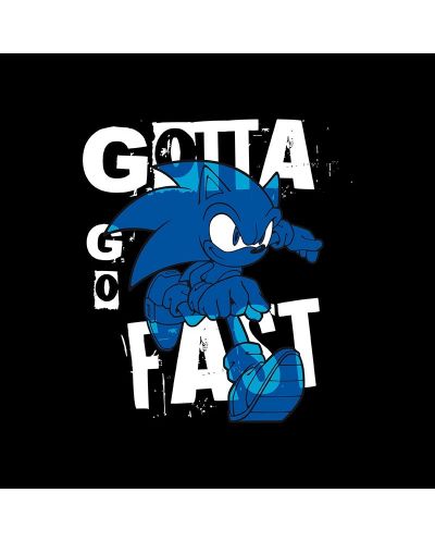 Κοντομάνικη μπλούζα  ABYstyle Games: Sonic the Hedgehog - Gotta go Fast	 - 2