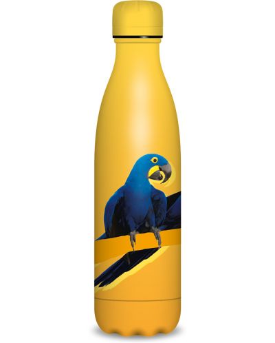 Θερμό μπουκάλι  Ars Una - Parrot, 500 ml - 1