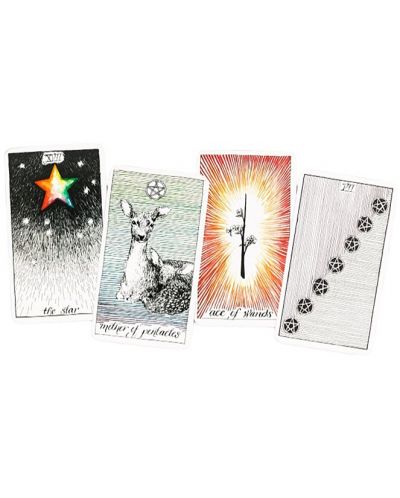 The Wild Unknown Pocket Tarot - 2