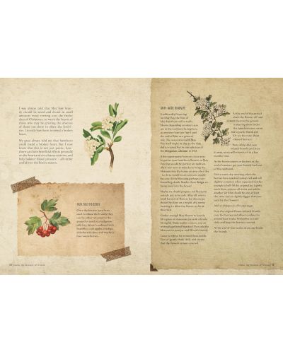 The Time Traveller's Herbal: Stories and Recipes rom the Historical Apothecary Cabinet - 2