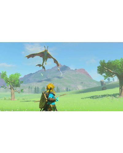 The Legend of Zelda: Tears of the Kingdom (Nintendo Switch) - 11