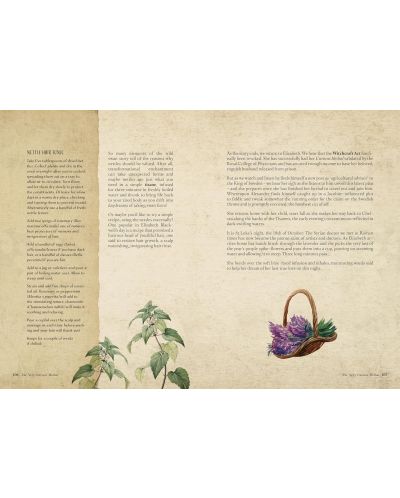 The Time Traveller's Herbal: Stories and Recipes rom the Historical Apothecary Cabinet - 4
