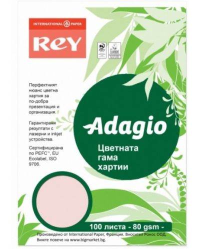Έγχρωμο χαρτί αντιγραφής Rey Adagio - Pink, A4, 80 g, 100 φύλλα - 1