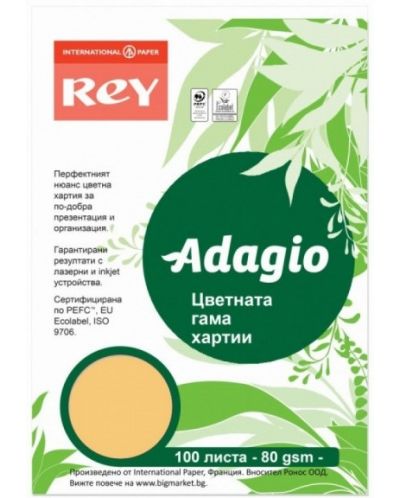 Έγχρωμο φωτοτυπικό χαρτί  Rey Adagio - Beige, A4, 80 g, 100 φύλλα - 1