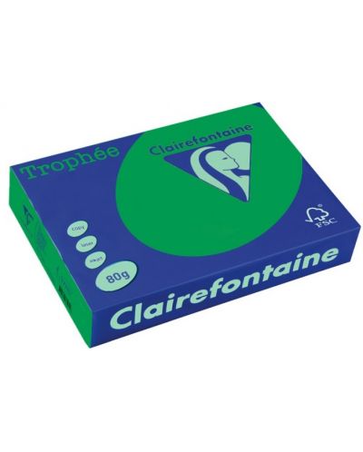 Έγχρωμο φωτοτυπικό χαρτί Clairefontaine - А4, 80 g/m2, 100 φύλλα, Intensive Forest Green  - 1