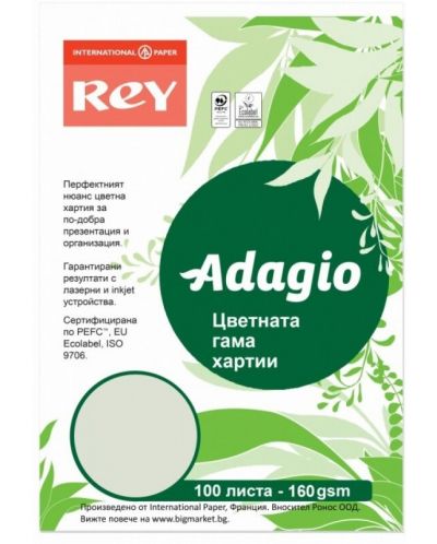 Έγχρωμο φωτοτυπικό  χαρτόνι Rey Adagio - Green, A4, 160 g, 100 φύλλα - 1