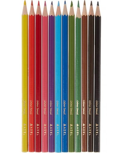 Χρωματιστά μολύβια Adel - 12 χρώματα, σε σωλήνα - 2