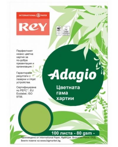 Έγχρωμο φωτοτυπικό χαρτί  Rey Adagio - Spring Green, A4, 80 g, 100 φύλλα - 1
