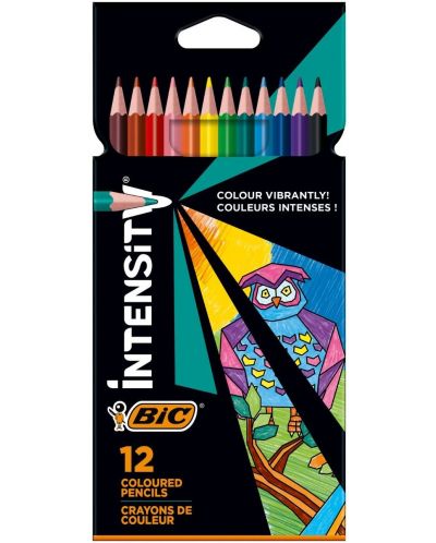 Χρωματιστά μολύβια BIC - Ένταση, 12 χρωμάτων - 1