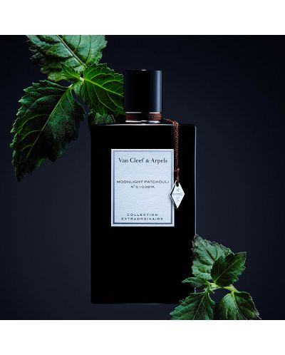 Van Cleef & Arpels Collection Extraordinaire Eau de Parfum Moonlight Patchuli, 75 ml - 2