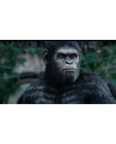 Dawn of the Planet of the Apes (3D Blu-ray) - 14