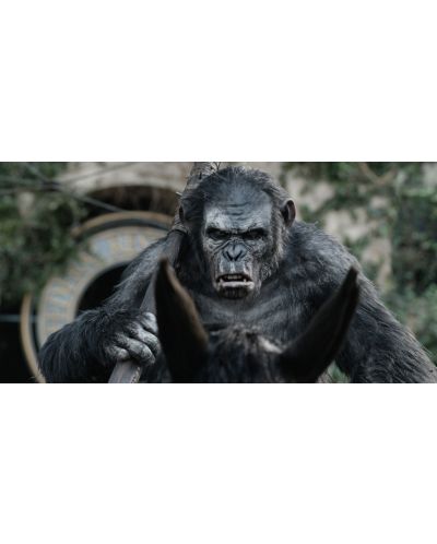 Dawn of the Planet of the Apes (3D Blu-ray) - 15