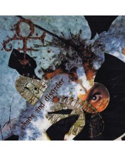 Prince - Chaos and Disorder (Vinyl)  33 1/3