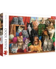 Παζλ Trefl 1000 κομμάτια - Συνάντηση γάτας, Marcello Corti