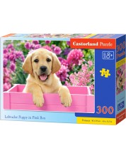 Παζλ Castorland 300 κομμάτια - Κουτάβι Λαμπραντόρ σε ροζ κουτί -1