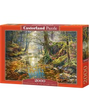 Παζλ Castorland 2000 κομμάτια - Με ανάμνηση ενός φθινοπωρινού δάσους, Graham Twyford