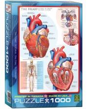 Παζλ Eurographics 1000 κομμάτια – Το ανθρώπινο σώμα, Καρδιά