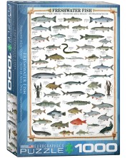 Παζλ Eurographics 1000 κομμάτια – Ποταμίσιο ψάρι