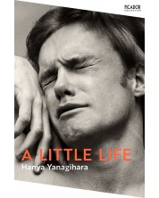 A Little Life -1